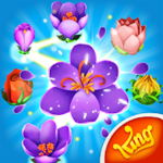 Logo of Blossom Blast Saga android Application 